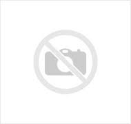 SURGERY INSTRUMENT - NEUROLOGY